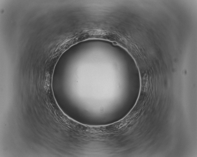 X0000085001301200703191039