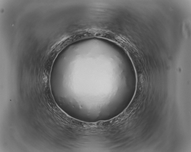 X0000085001302200703191039