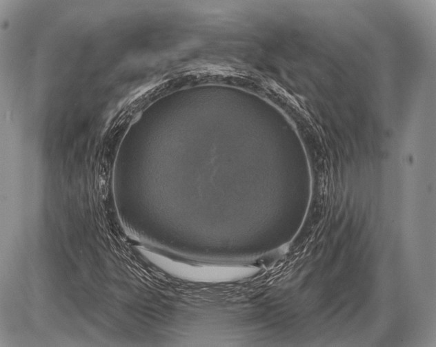 X0000085001303200703191039