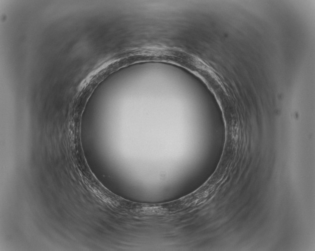 X0000085001304200703191039