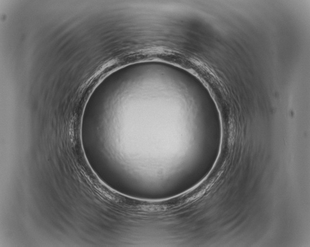 X0000085001305200703191039