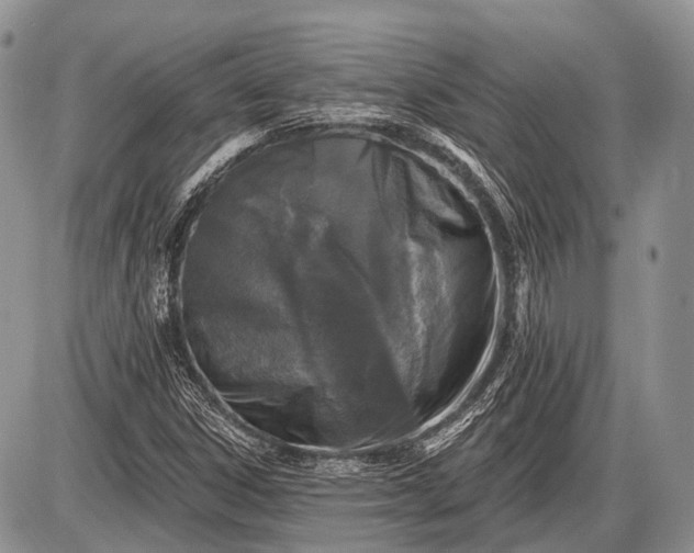 X0000085001306200703191039