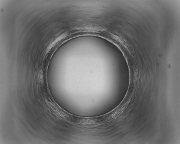 X0000085001307200703191039