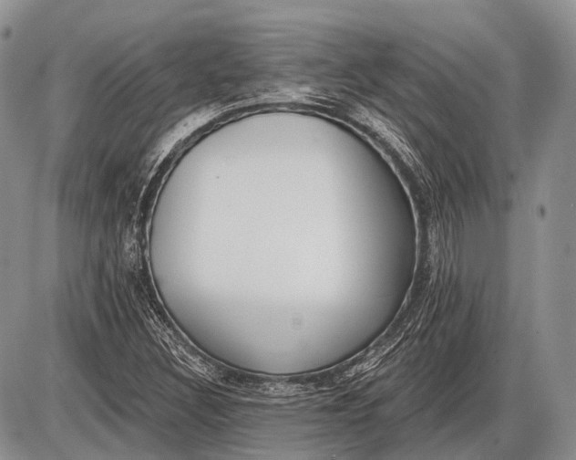 X0000085001308200703191039