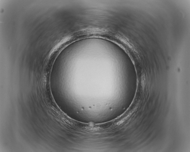 X0000085001309200703191039