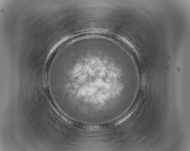 X0000085001310200703191039