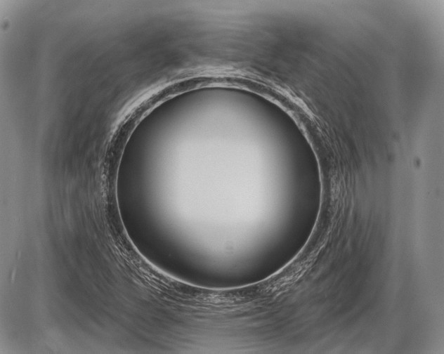 X0000085001311200703191039