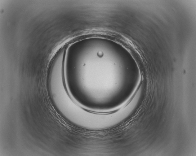 X0000085001312200703191039