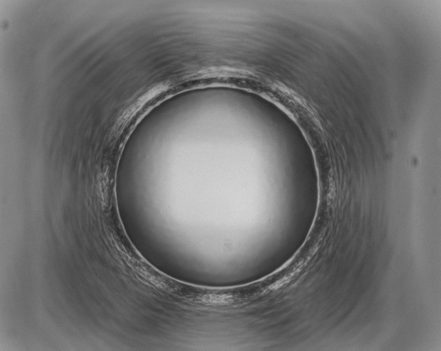 X0000085001313200703191039