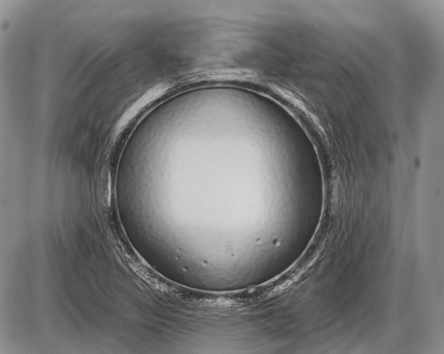 X0000085001317200703191040