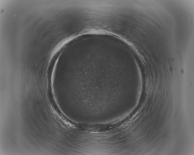 X0000085001319200703191040