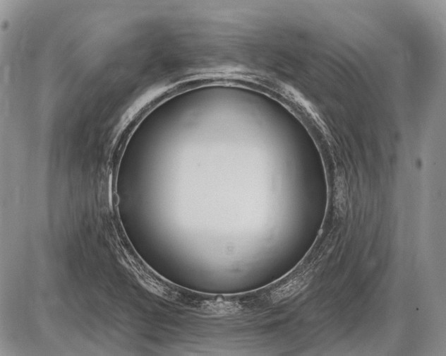 X0000085001320200703191040