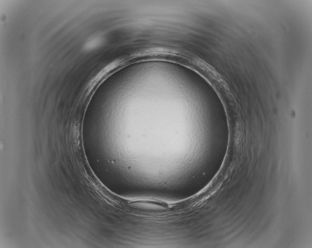 X0000085001321200703191040