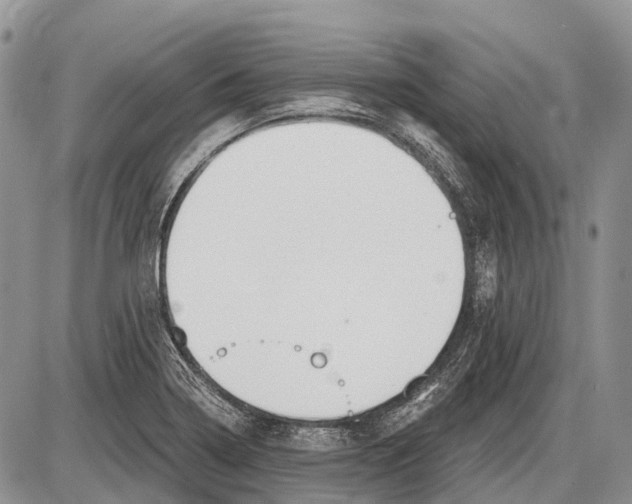 X0000085001322200703191040