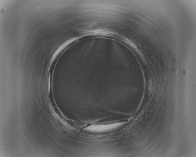 X0000085001323200703191040