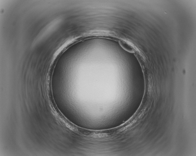 X0000085001325200703191040