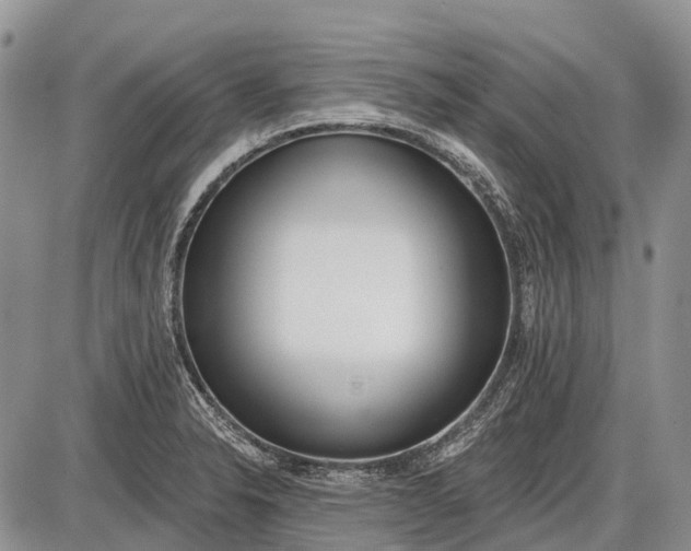 X0000085001326200703191040