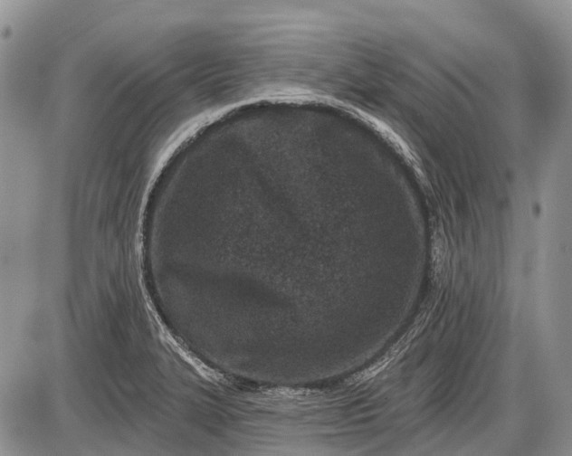 X0000085001327200703191040