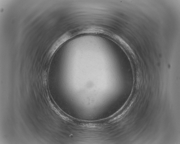 X0000085001329200703191040