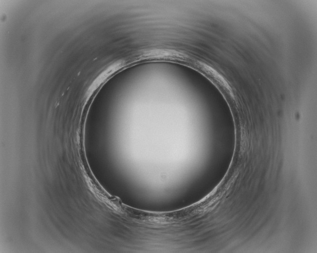 X0000085001330200703191040