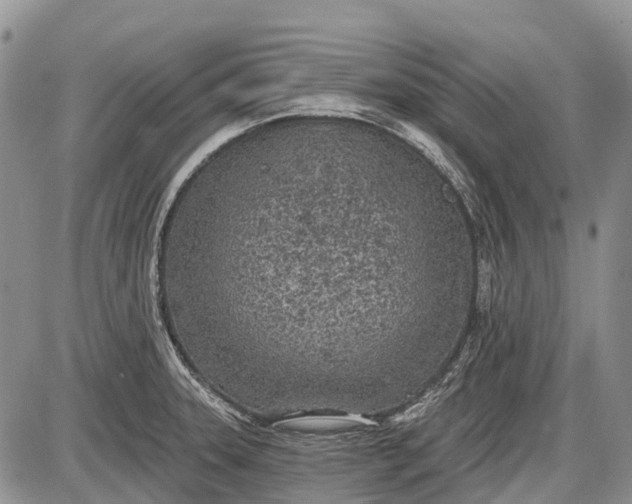 X0000085001331200703191040