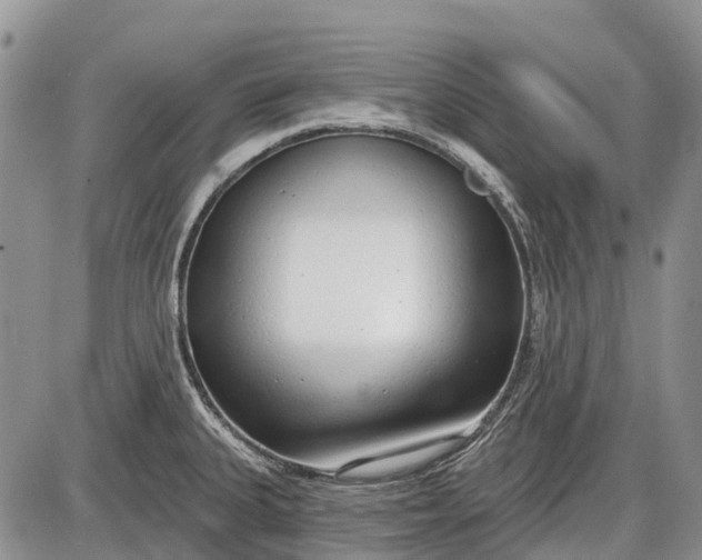 X0000085001335200703191040