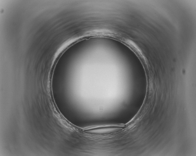 X0000085001336200703191040