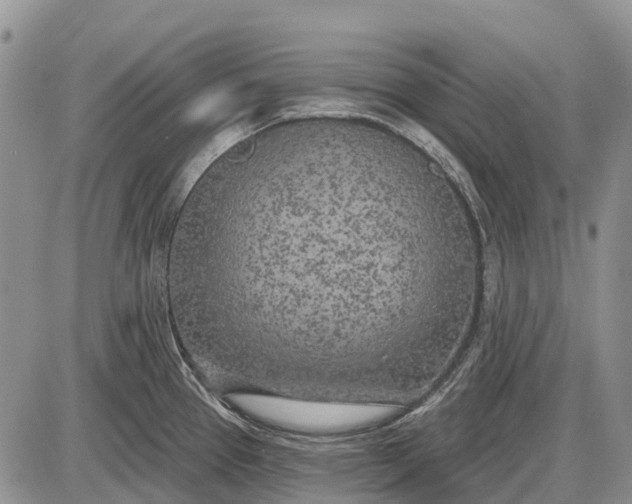 X0000085001337200703191040