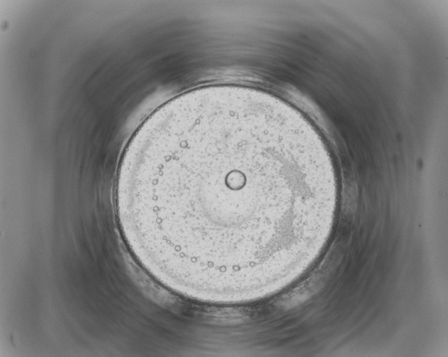 X0000085001338200703191040