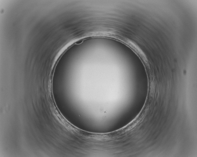 X0000085001340200703191040