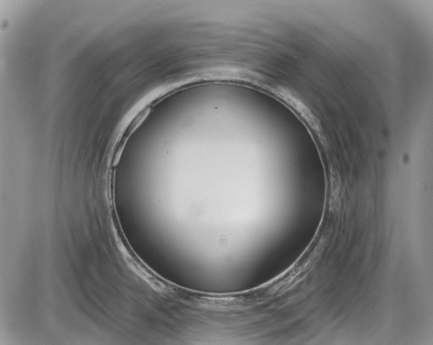 X0000085001342200703191040