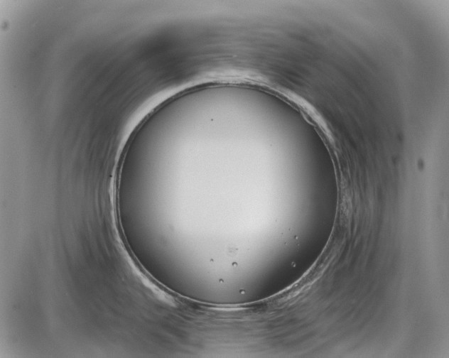 X0000085001343200703191040