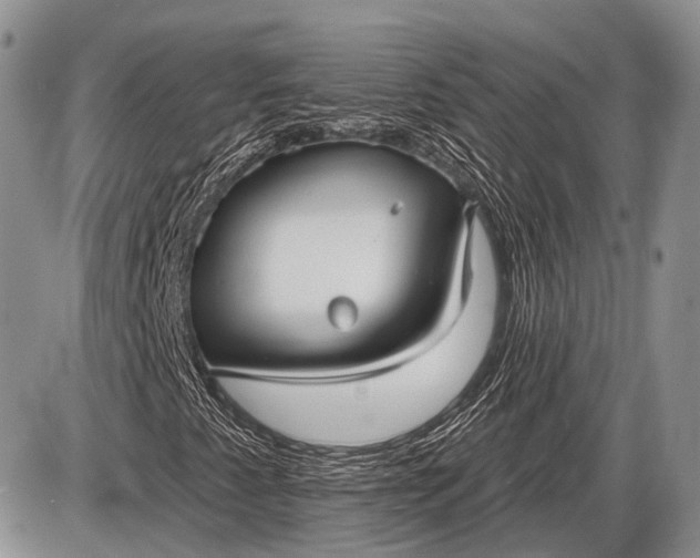 X0000085001345200703191039