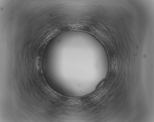 X0000085001346200703191039