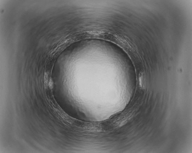 X0000085001347200703191039