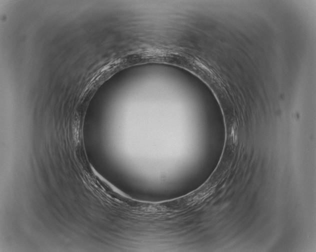 X0000085001348200703191039