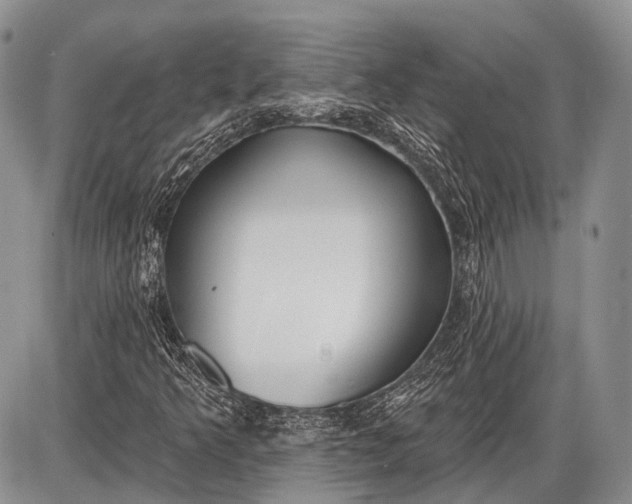 X0000085001349200703191039