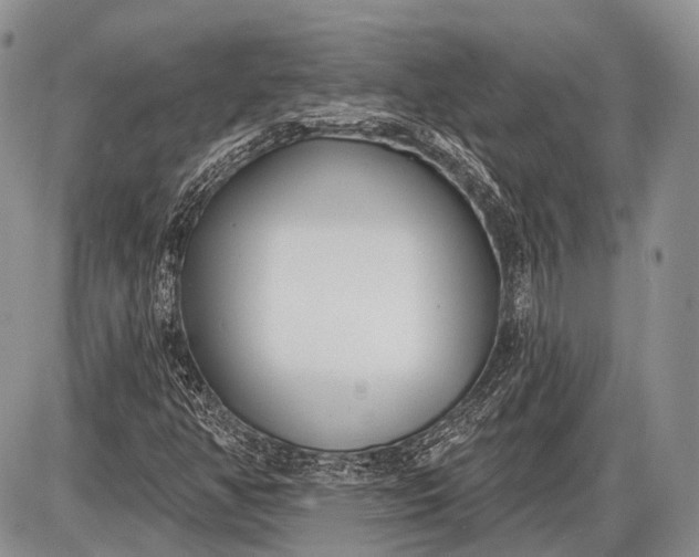 X0000085001350200703191039