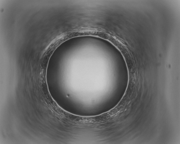 X0000085001351200703191039