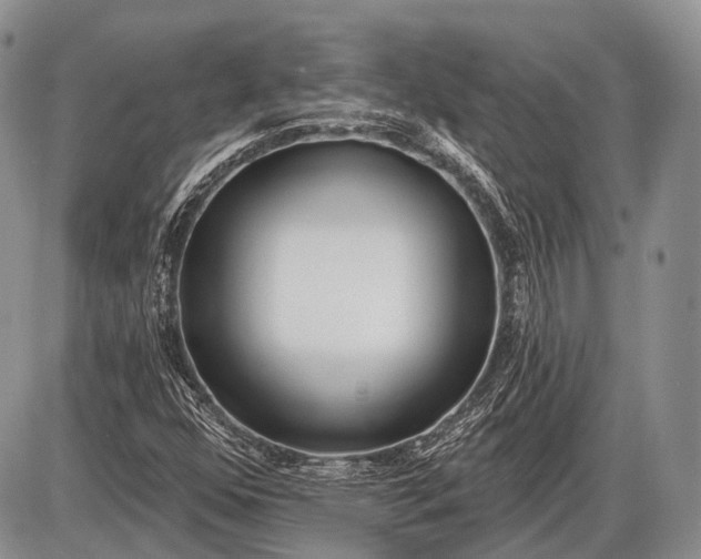 X0000085001352200703191039