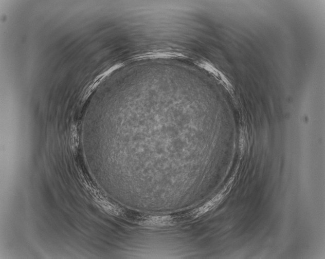 X0000085001353200703191039