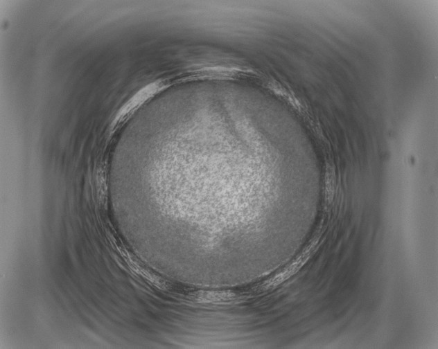 X0000085001354200703191039