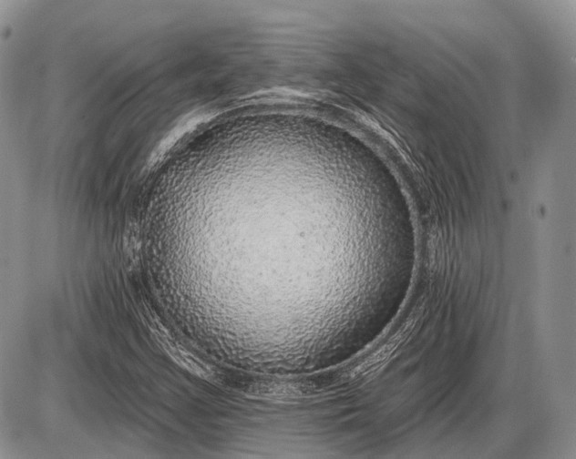 X0000085001355200703191039