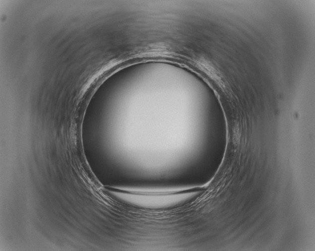 X0000085001356200703191039