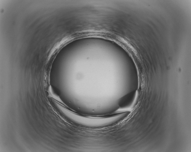 X0000085001357200703191039