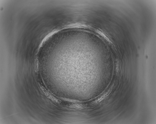 X0000085001358200703191039