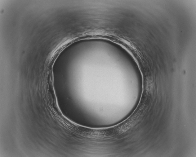 X0000085001359200703191039