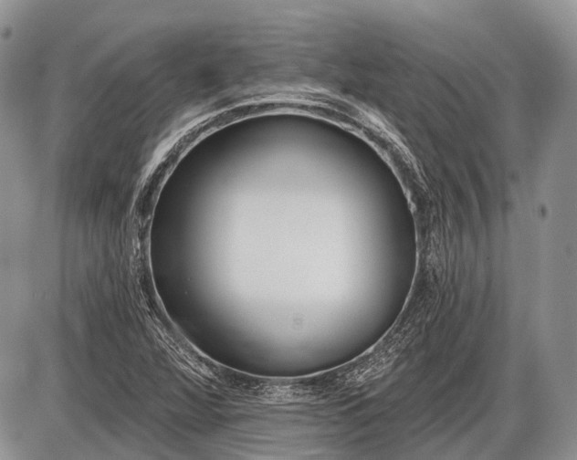 X0000085001360200703191039