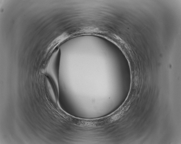 X0000085001361200703191039