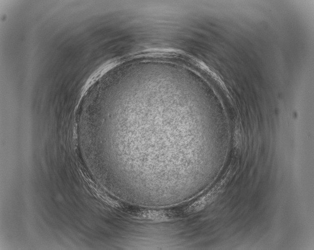 X0000085001362200703191039